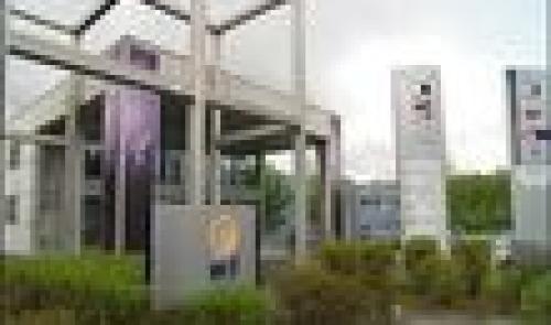 WSL a créé 155 emplois